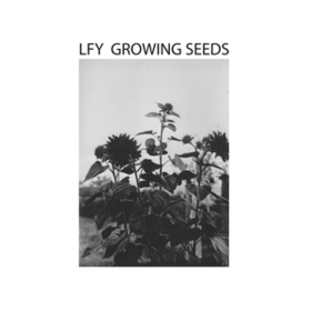 Growing Seeds Lust For Youth