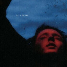 In A Dream (5th Anniversary Edition) Troye Sivan