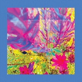 The Past Is a Garden I Never Fed (Limited Edition) The Reds, Pinks & Purples