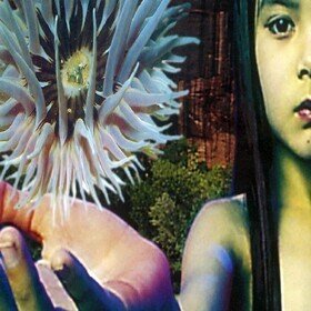 Lifeforms (Limited Edition) The Future Sound of London