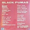 Black Pumas Deluxe Edition