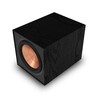 Reference R-101SW