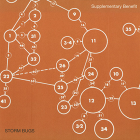 Supplementary Benefit Storm Bugs