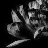 La Ou Passe La Nuit