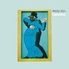 Gaucho (Limited Edition)