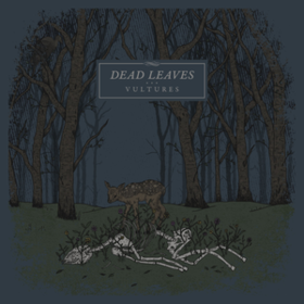 Vultures Dead Leaves