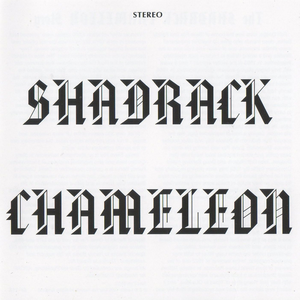 Shadrack Chameleon