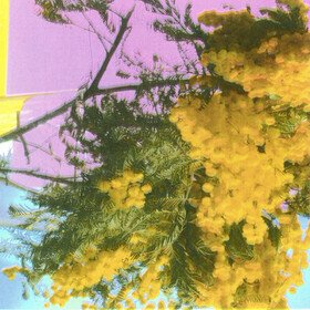 Into Dust (Still Falling) Four Tet