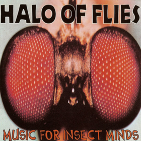 Music For Insect Minds Halo Of Flies