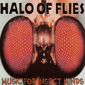 Music For Insect Minds