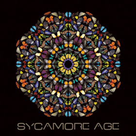 Sycamore Age Sycamore Age
