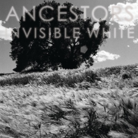 Invisible White Ancestors