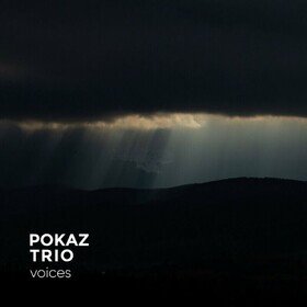 Voices Pokaz Trio