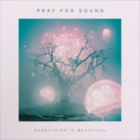Everything Is Beautiful Pray For Sound