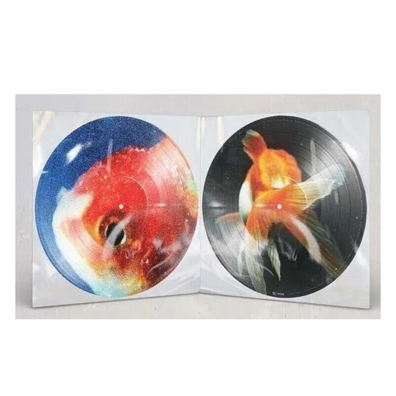 Big Fish Theory (Picture Disc)