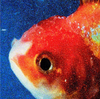 Big Fish Theory (Picture Disc)