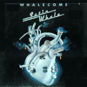 Whalecome Satin Whale
