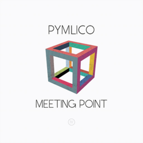 Meeting Point Pymlico