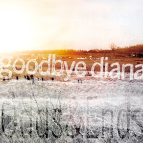 Odds & Ends Goodbye Diana