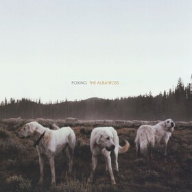 Albatross Foxing