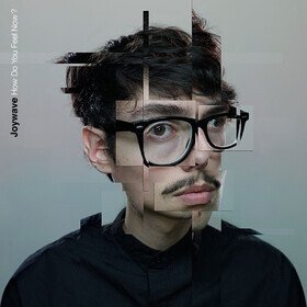 How Do You Feel Now? (RSD 2025) Joywave