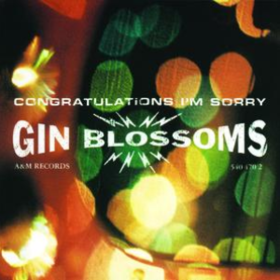 Congratulations I'm Sorry Gin Blossoms