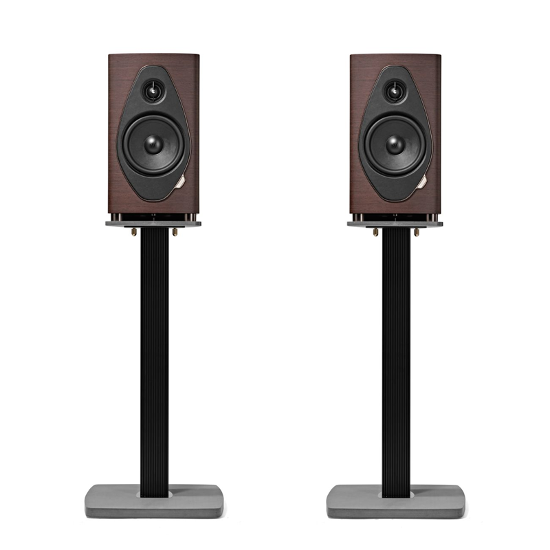 Sonetto II G2 Wenge