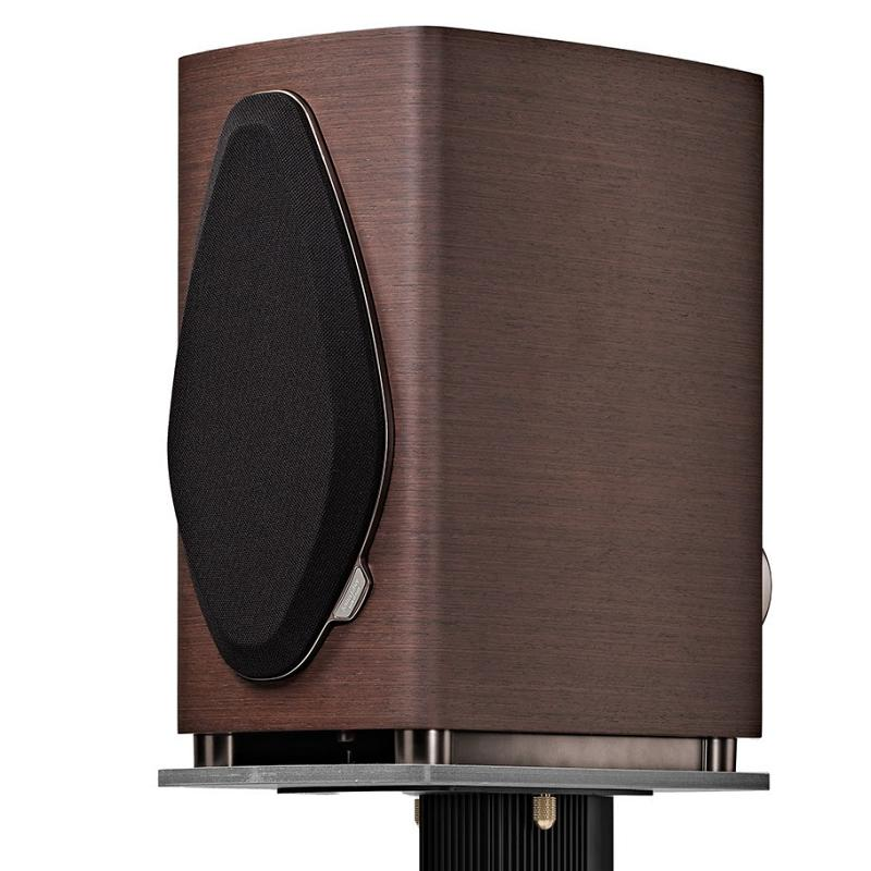 Sonetto II G2 Wenge