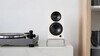 Debut ConneX Adsum DCB41-DS White