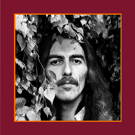 The Vinyl Collection (Limited Edition) George Harrison