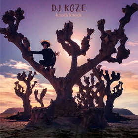 Knock Knock DJ Koze