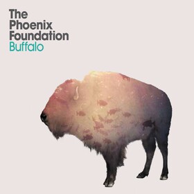 Buffalo Phoenix Foundation