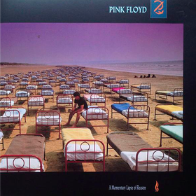 A Momentary Lapse Of Reason Pink Floyd