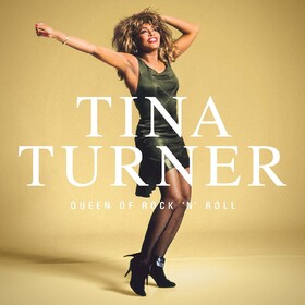 Queen of Rock 'N' Roll Tina Turner