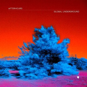 Global Underground: Afterhours 9 Various Artists
