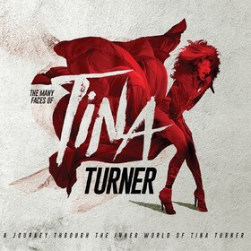 Many Faces Of Tina Turner Various Artists