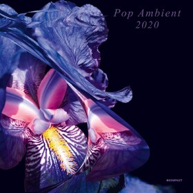 Pop Ambient 2020 Various Artists