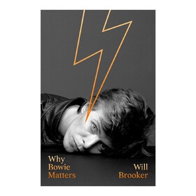 Why Bowie Matters Will Brooker
